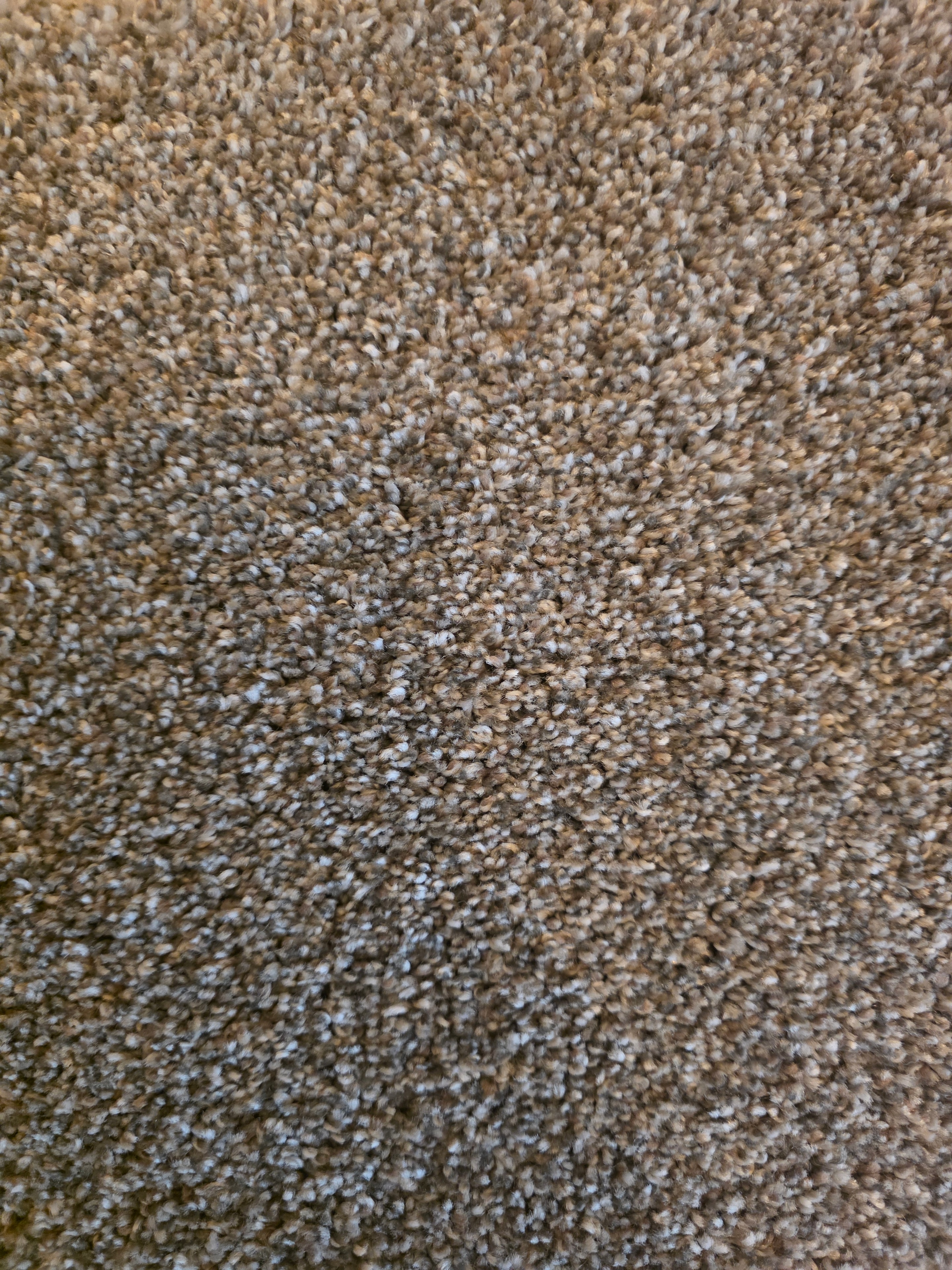 Dixie Home DX150 Bark carpet