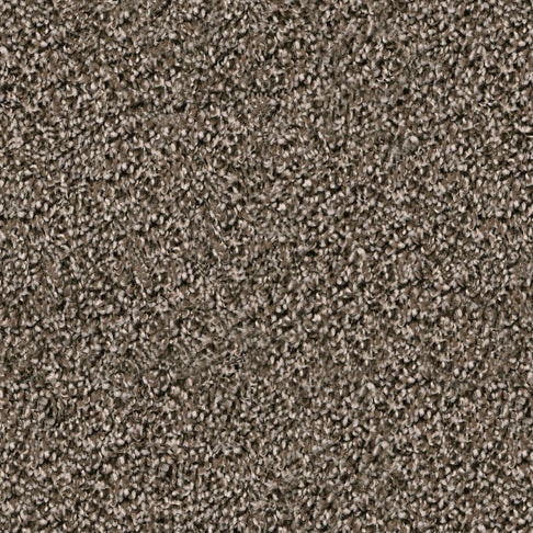 Dixie Home DX125 Espresso carpet