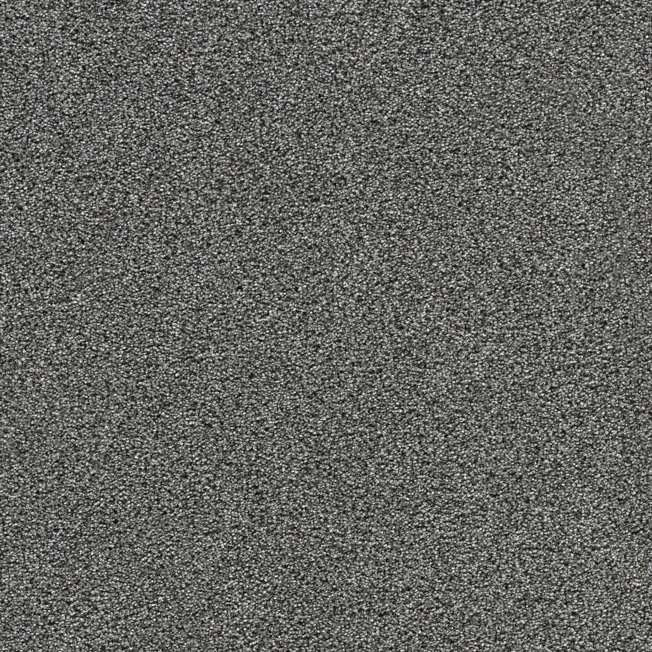 Dreamweaver Gold Standard Mica carpet