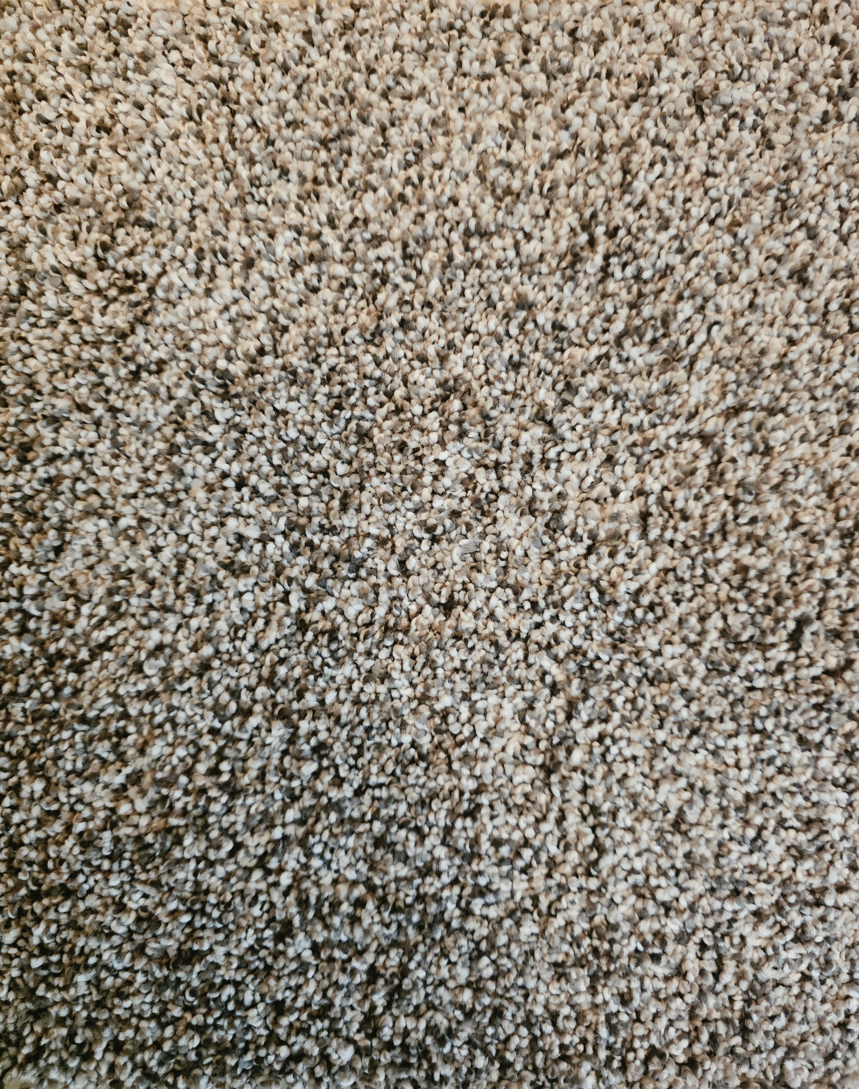 Dreamweaver Guilstan Comet carpet