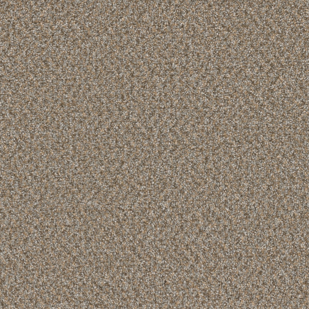 Dreamweaver SP251 Siesta carpet