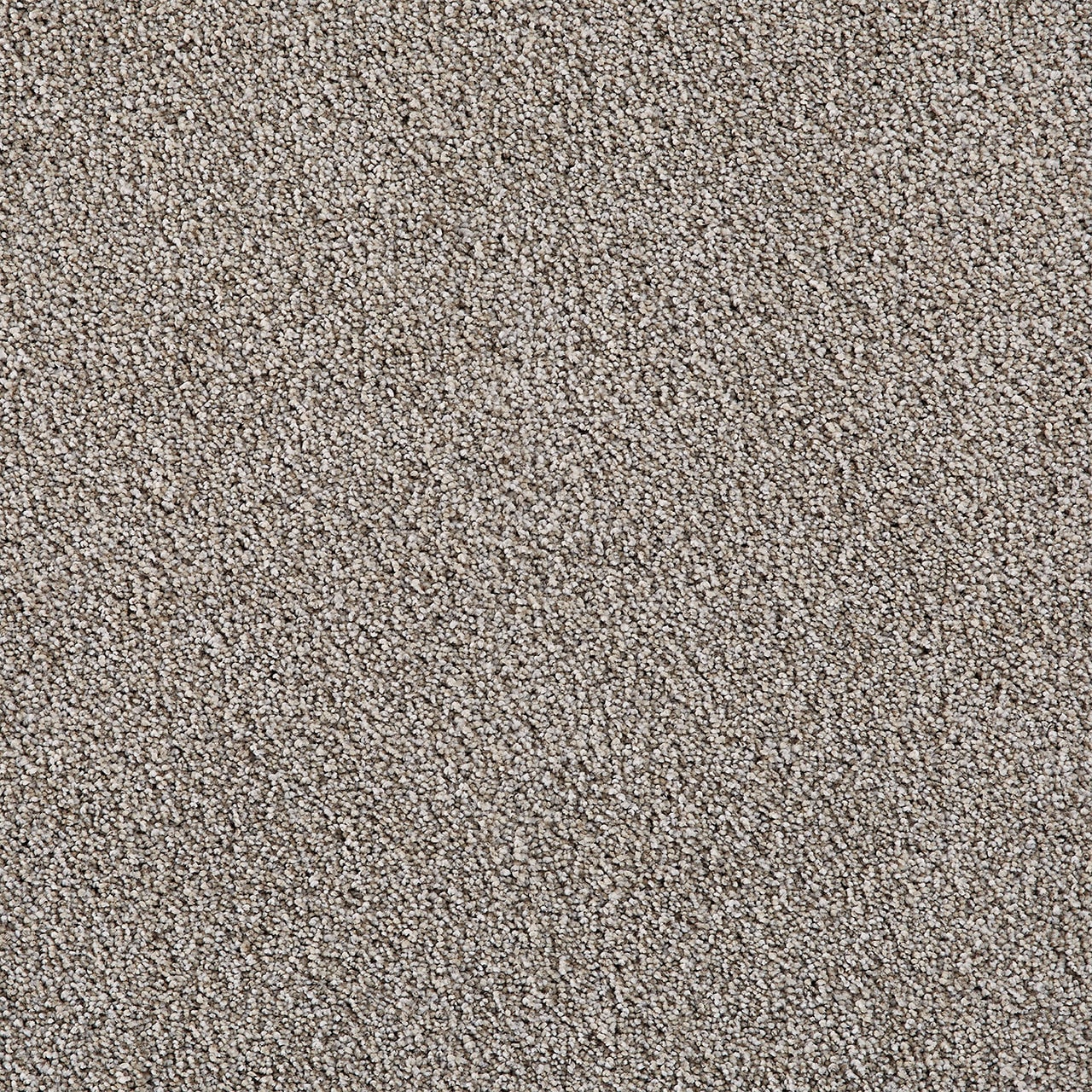 Dreamweaver Spotlight carpet