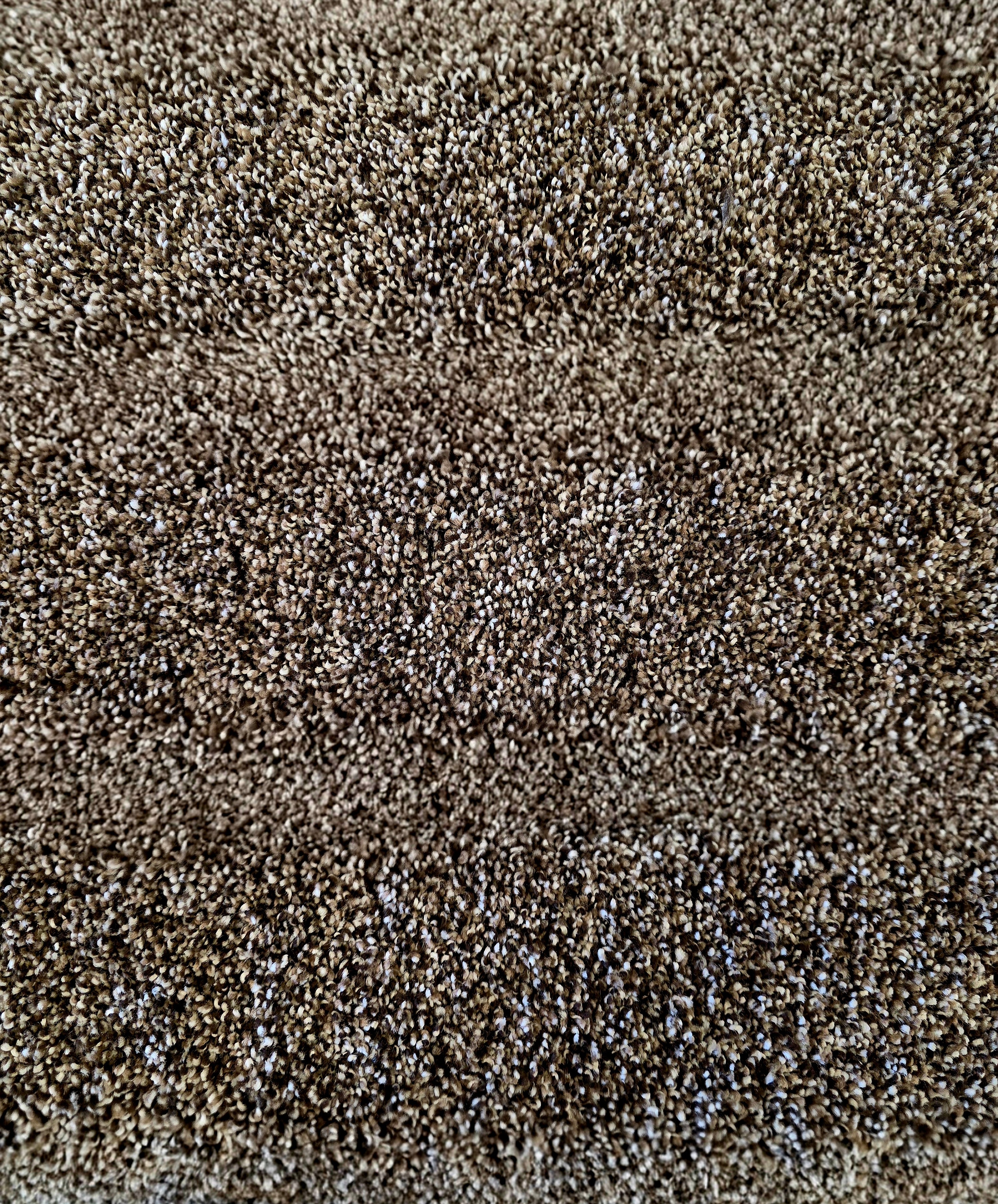 Marquis Industries Chocolate carpet