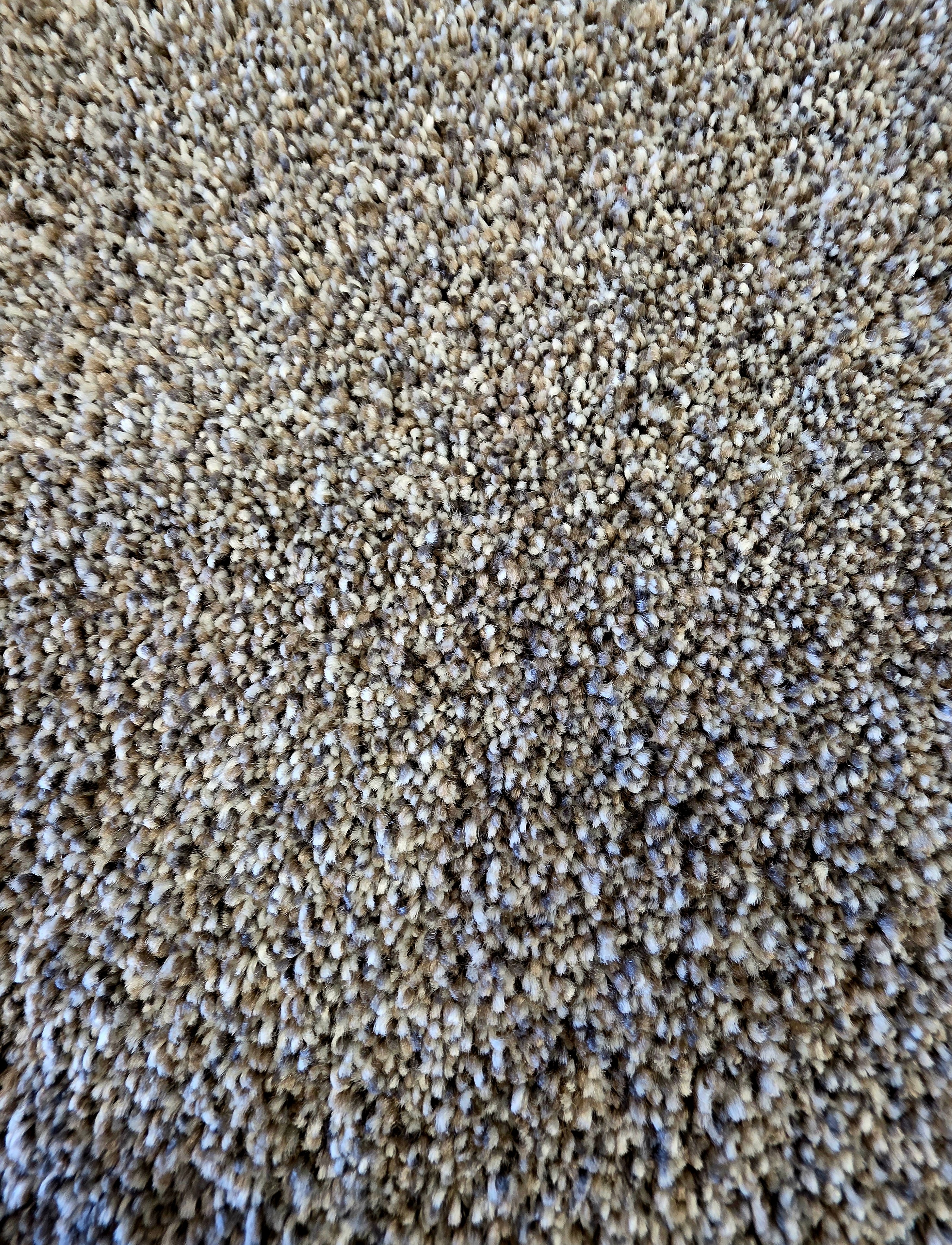 Marquis Industries Diablo carpet
