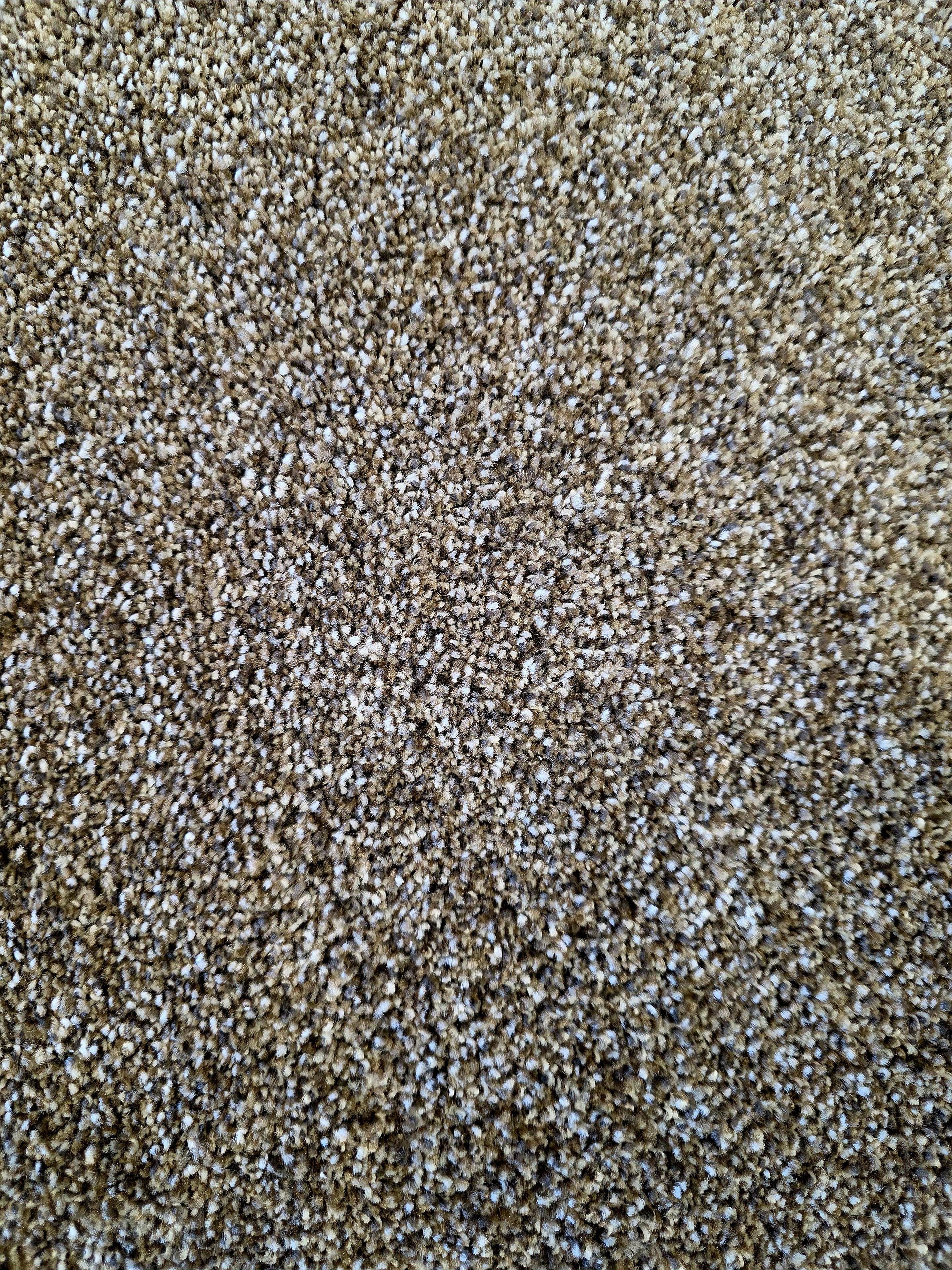 Marquis Industries Metropolitan carpet