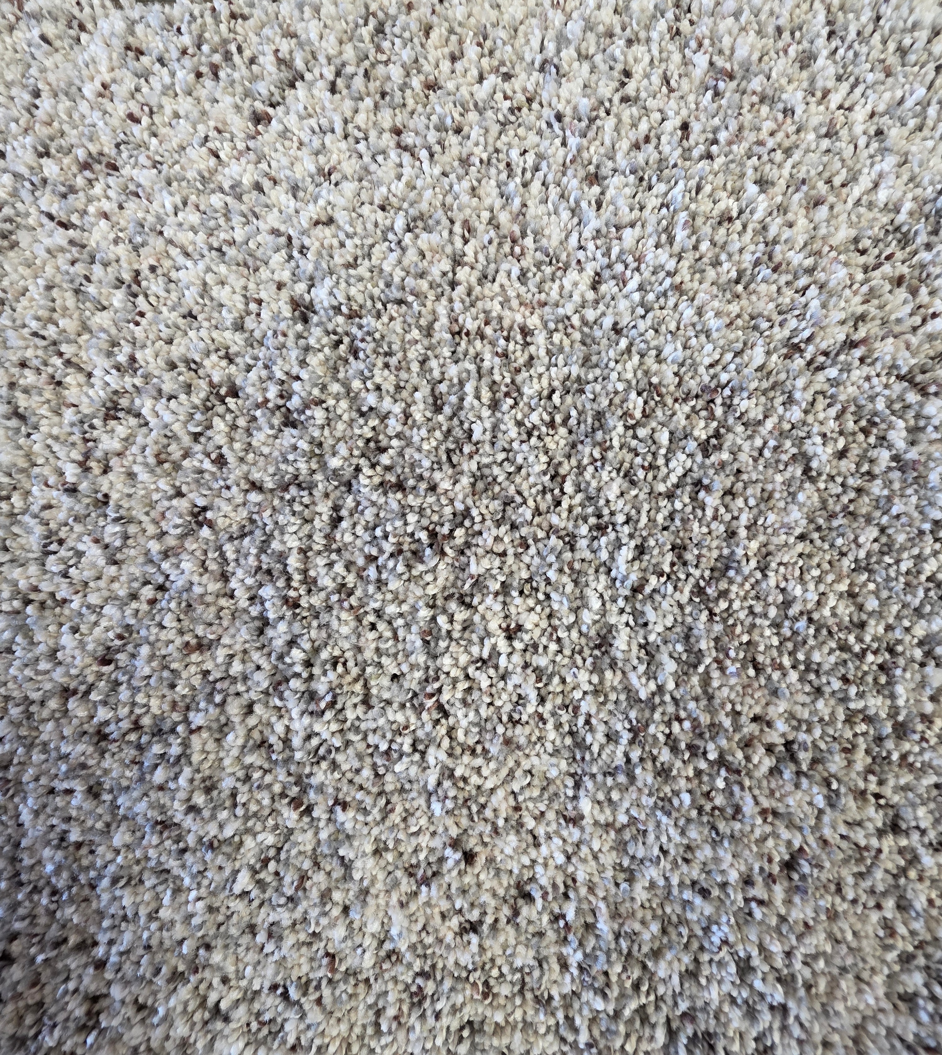 Marquis Industries Nakita carpet