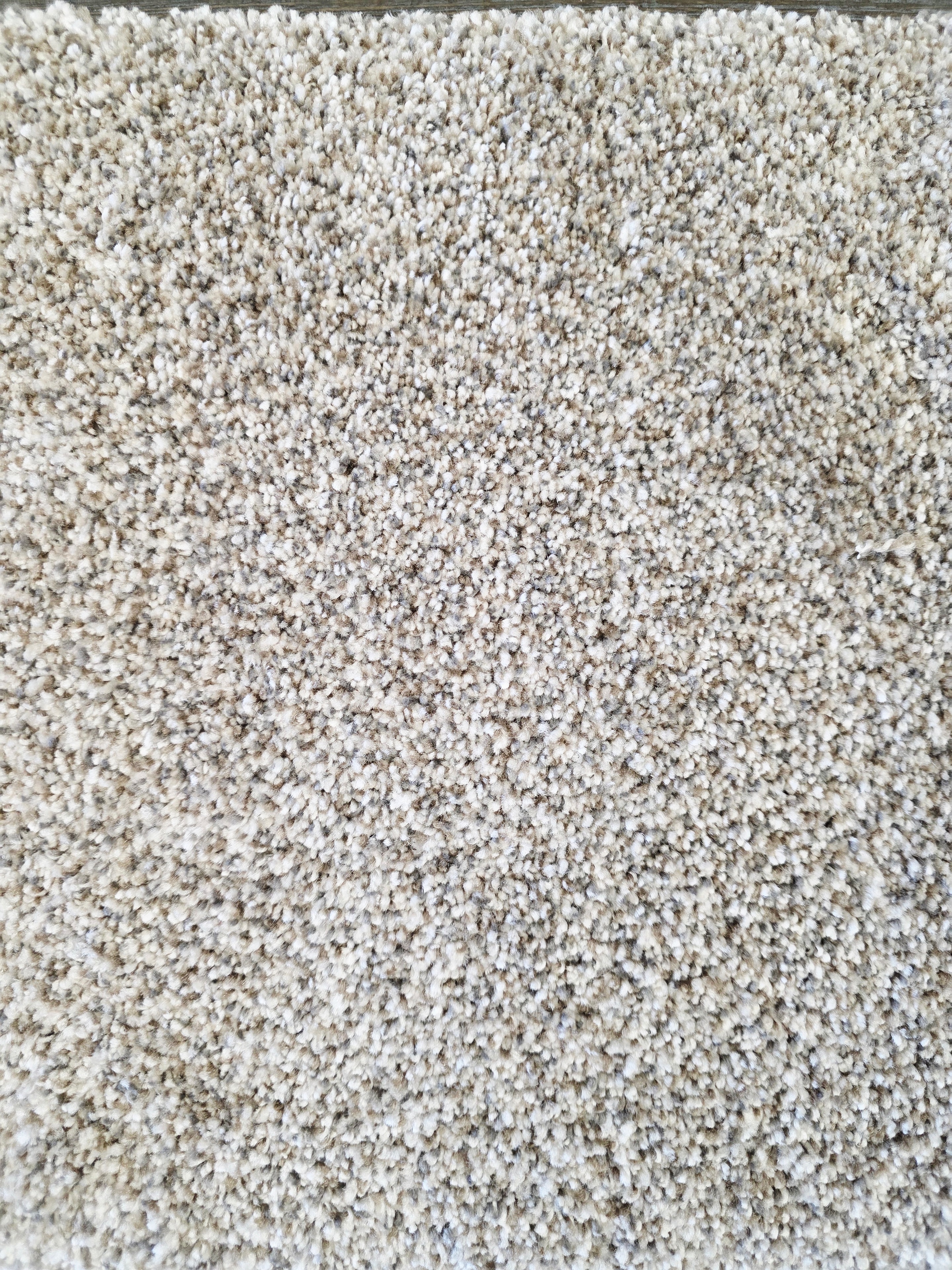 Marquis Industries Parchment carpet