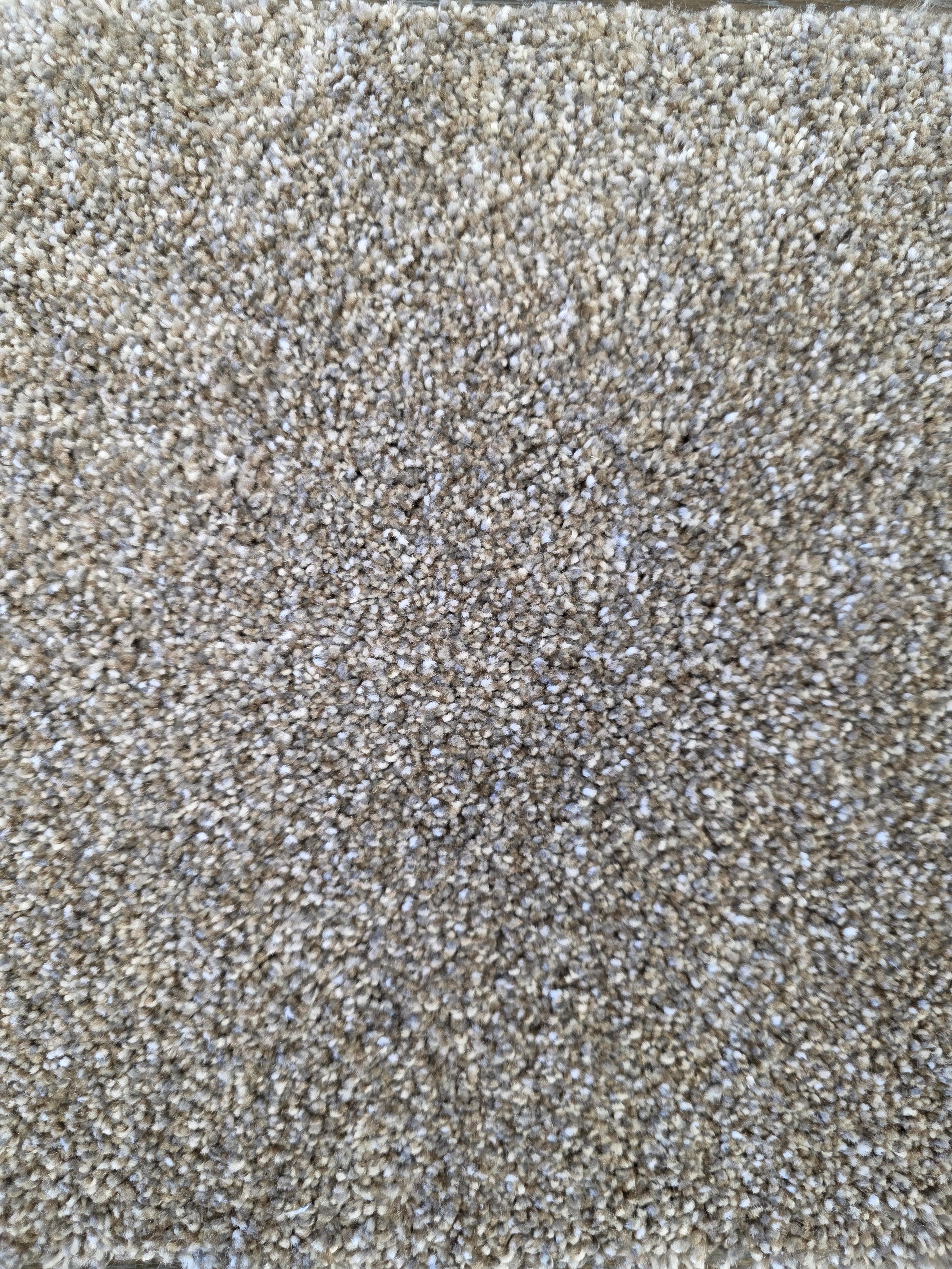Marquis Industries Stonecrest carpet