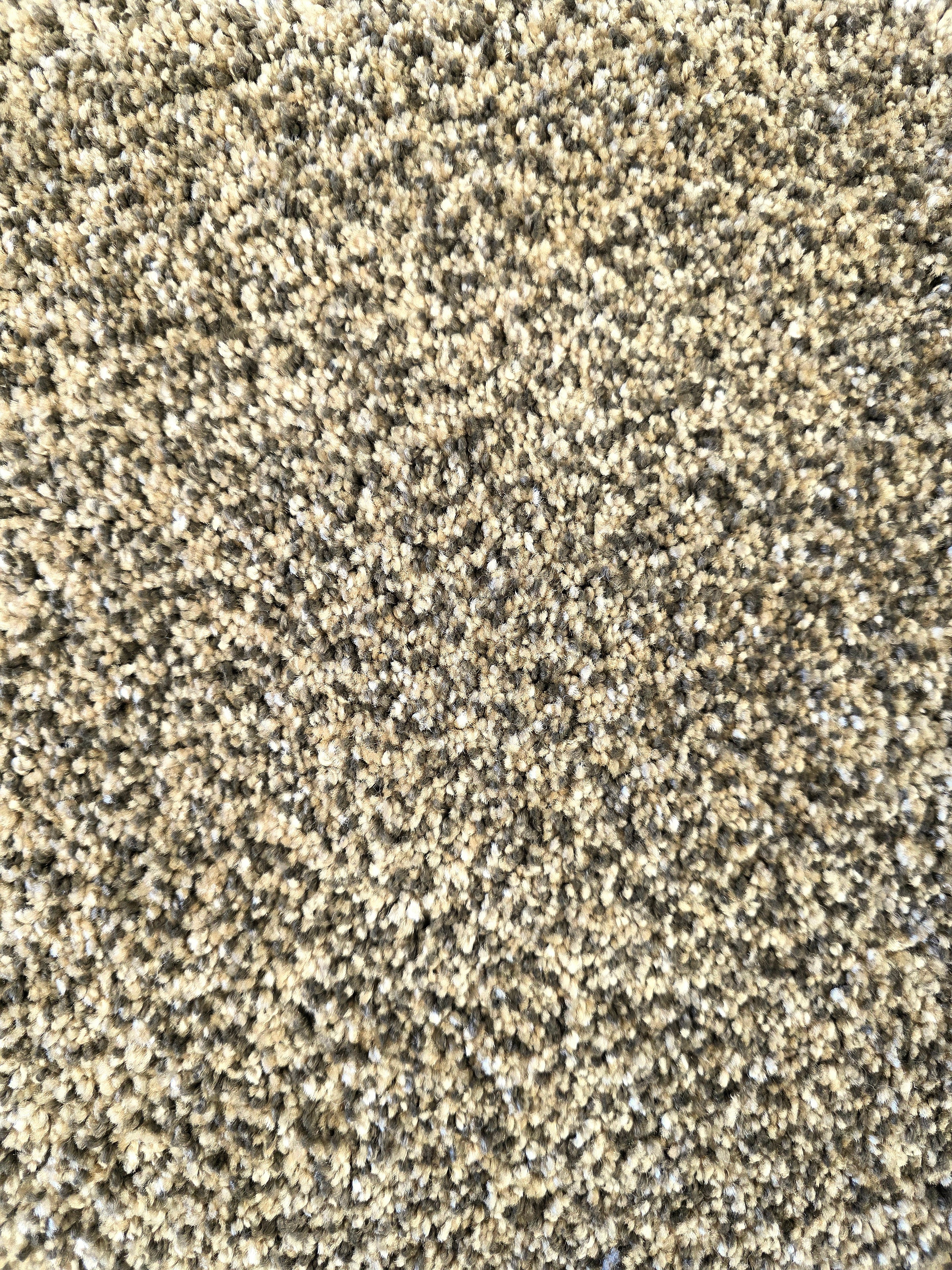 Marquis Industries Toxic carpet