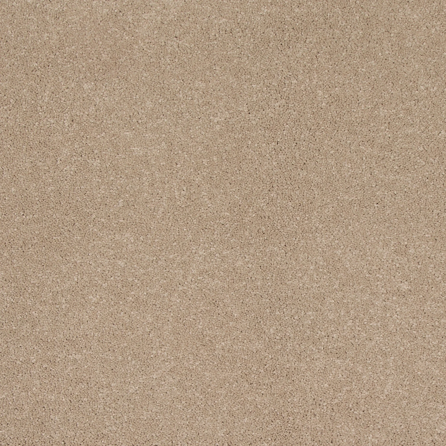Mohawk Refined Saga Sandy Shores carpet