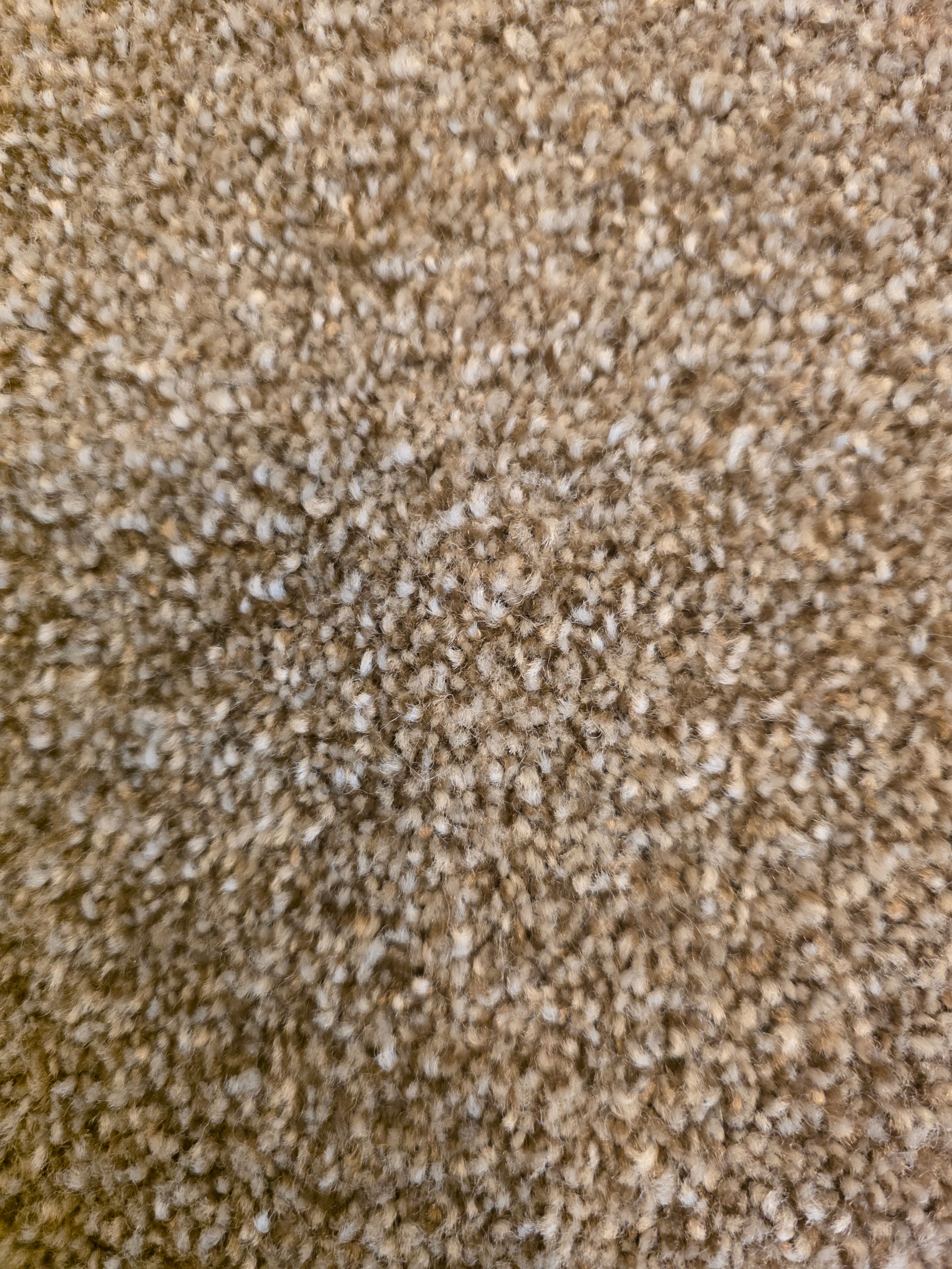 Patriot Mills Lakepoint Clair carpet