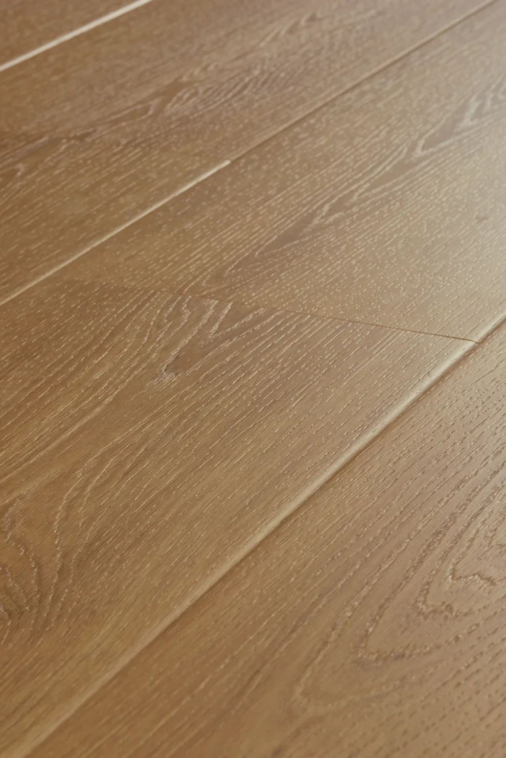 IFC Montauk Oak